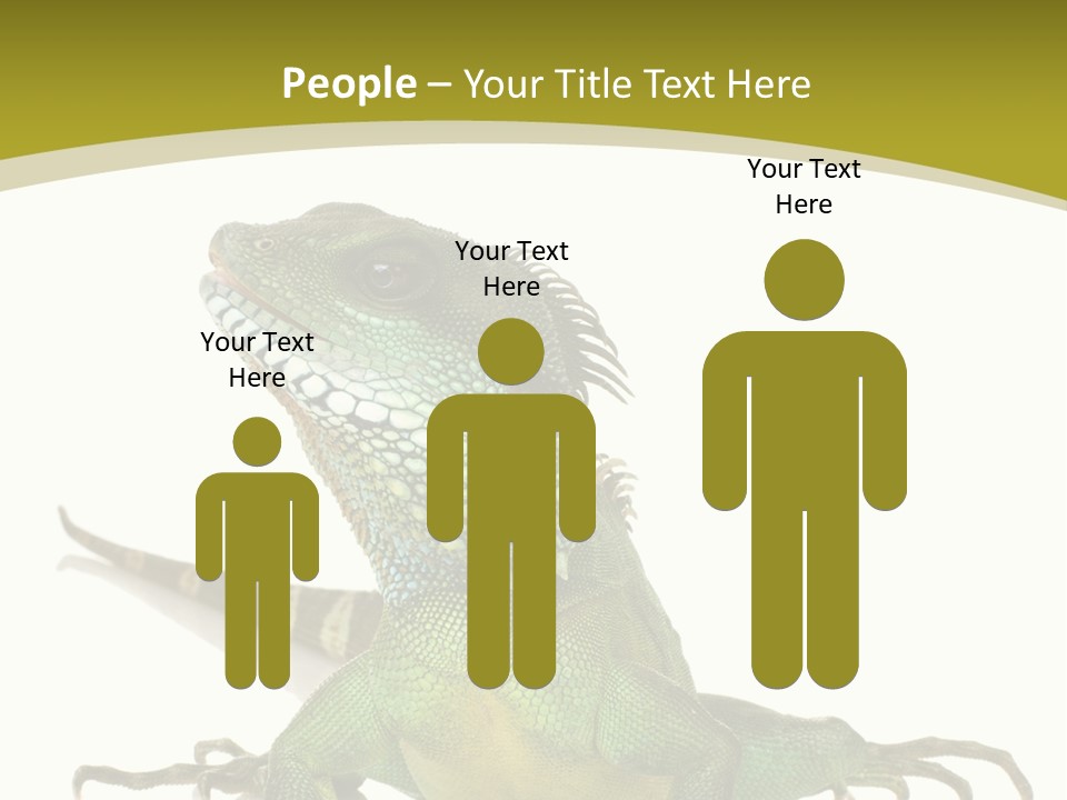 Isolated On White Iguana Nature PowerPoint Template