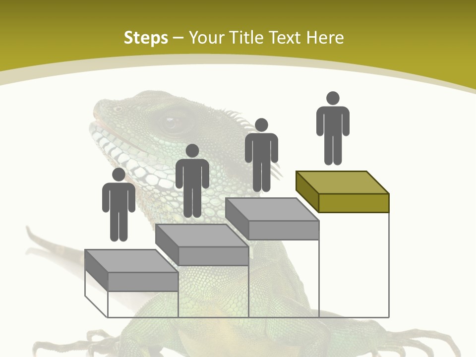 Isolated On White Iguana Nature PowerPoint Template