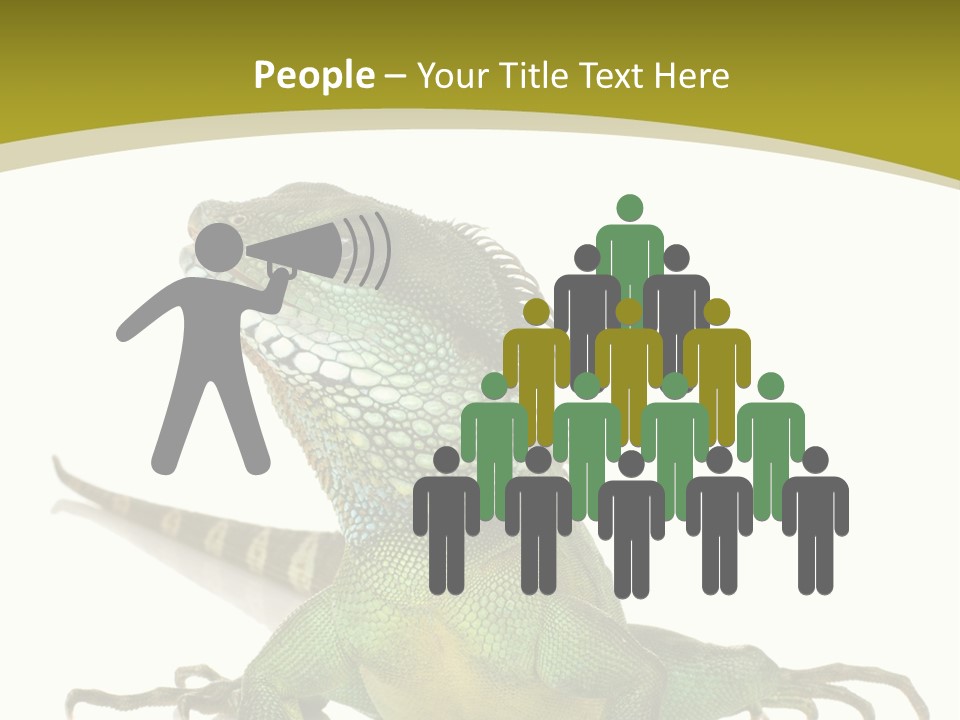 Isolated On White Iguana Nature PowerPoint Template