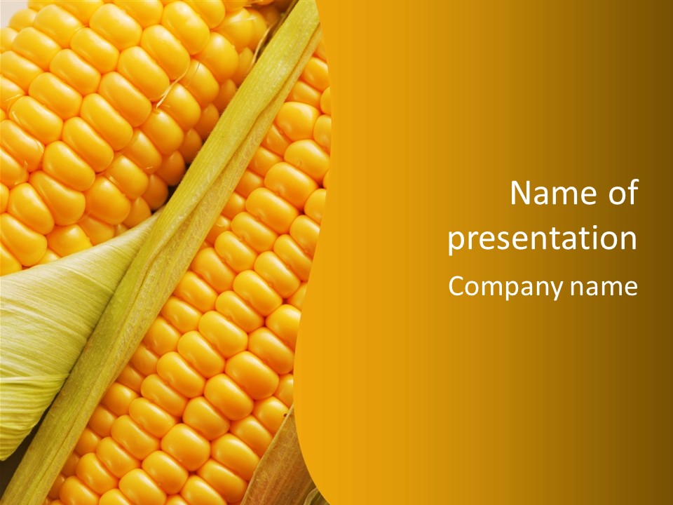Sweet Corn Plant Crop PowerPoint Template