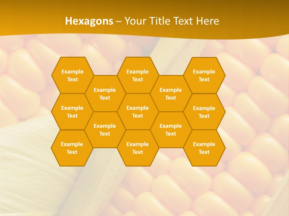 Sweet Corn Plant Crop PowerPoint Template