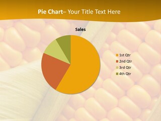 Sweet Corn Plant Crop PowerPoint Template