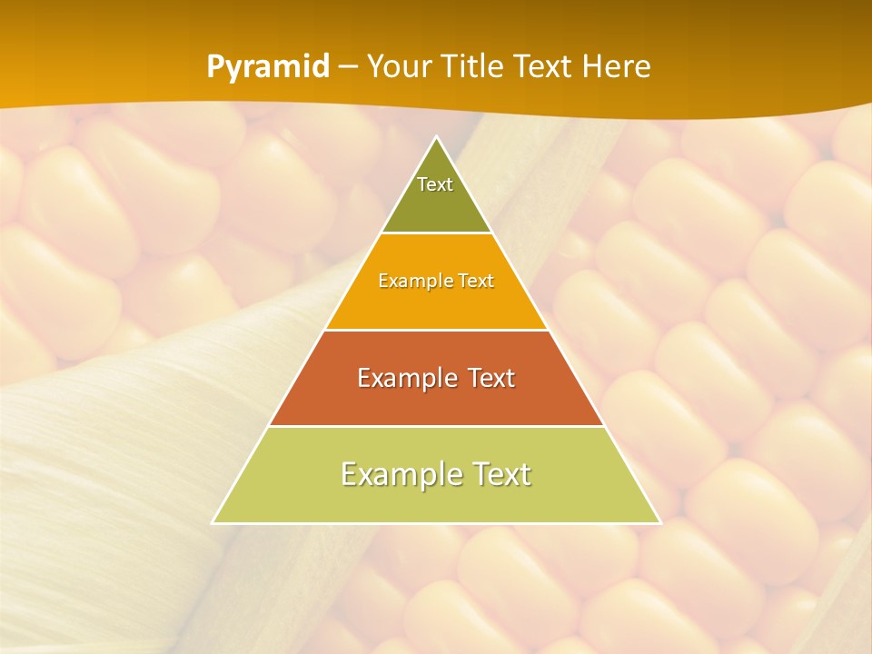 Sweet Corn Plant Crop PowerPoint Template