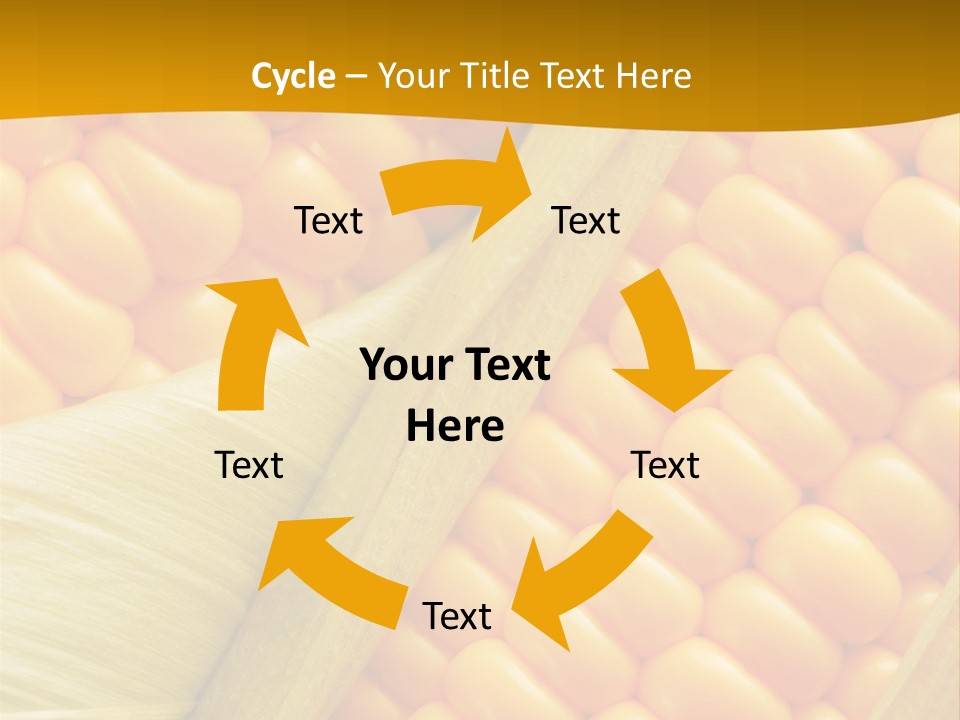 Sweet Corn Plant Crop PowerPoint Template