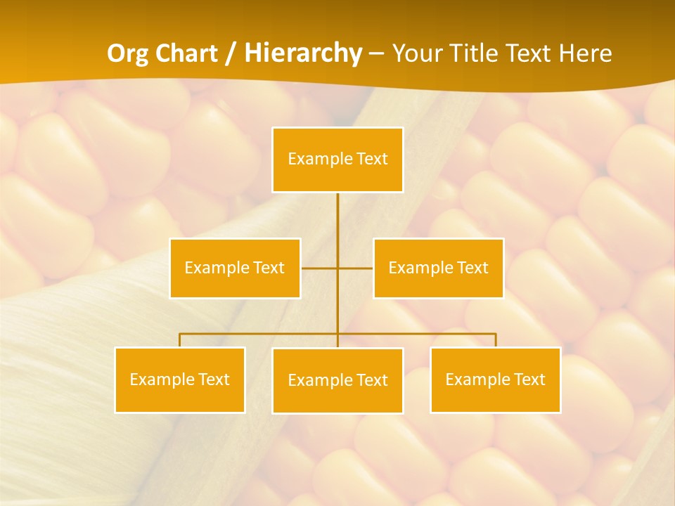 Sweet Corn Plant Crop PowerPoint Template
