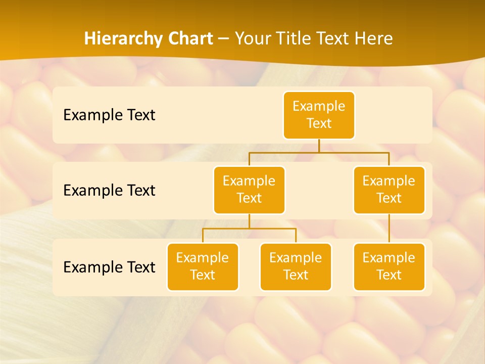 Sweet Corn Plant Crop PowerPoint Template