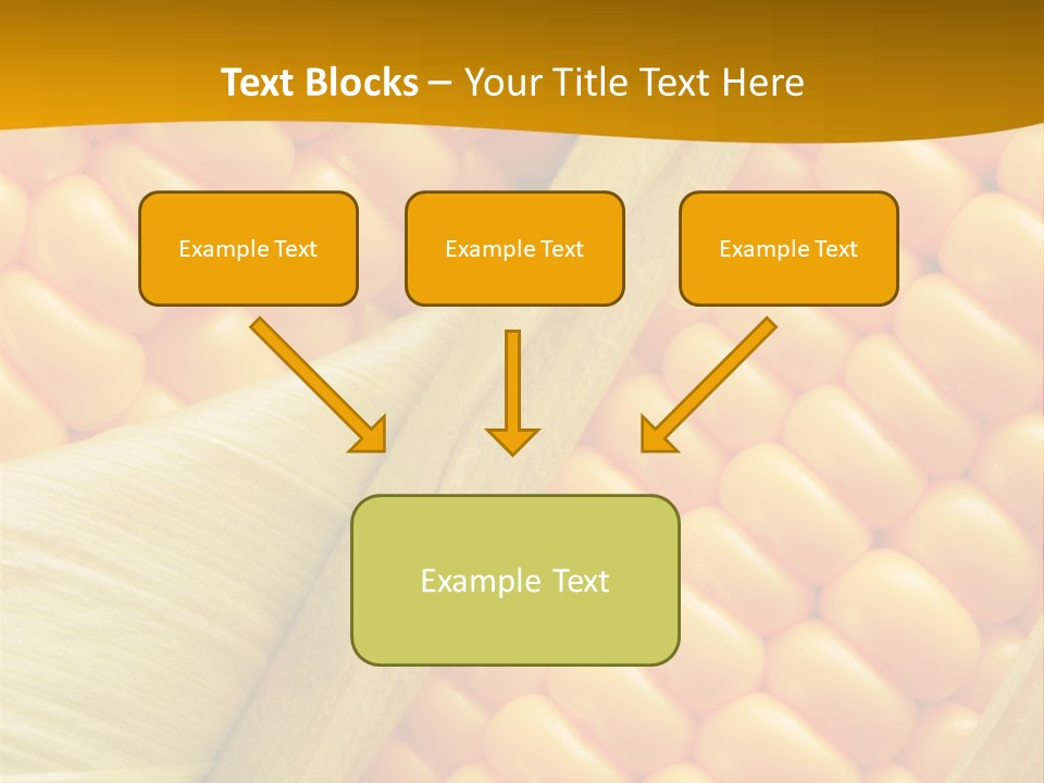 Sweet Corn Plant Crop PowerPoint Template