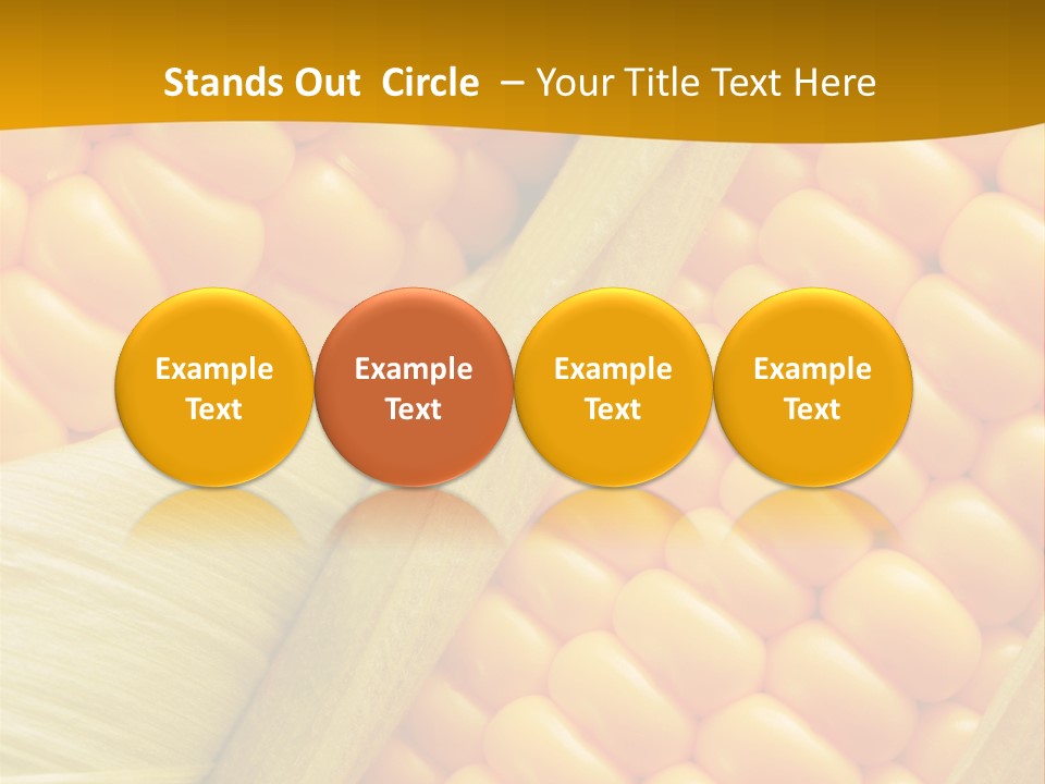 Sweet Corn Plant Crop PowerPoint Template