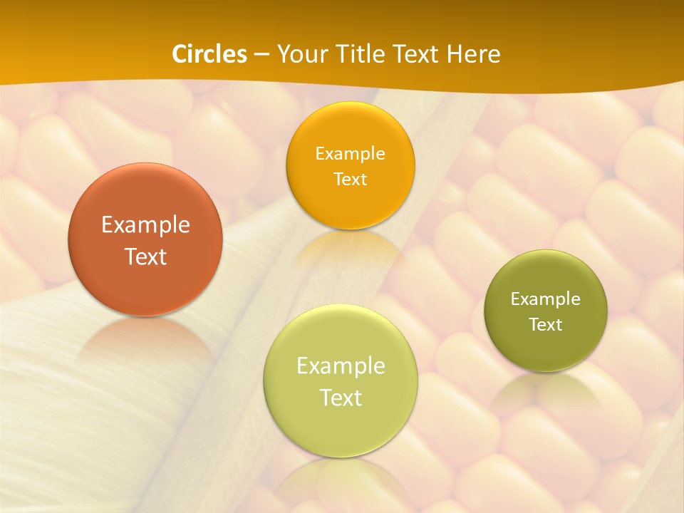 Sweet Corn Plant Crop PowerPoint Template