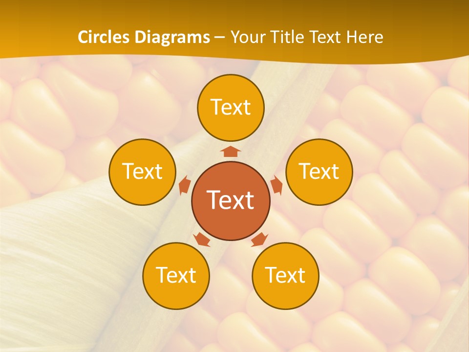 Sweet Corn Plant Crop PowerPoint Template