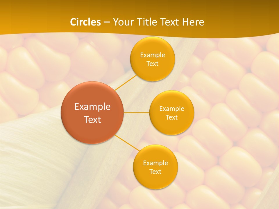 Sweet Corn Plant Crop PowerPoint Template