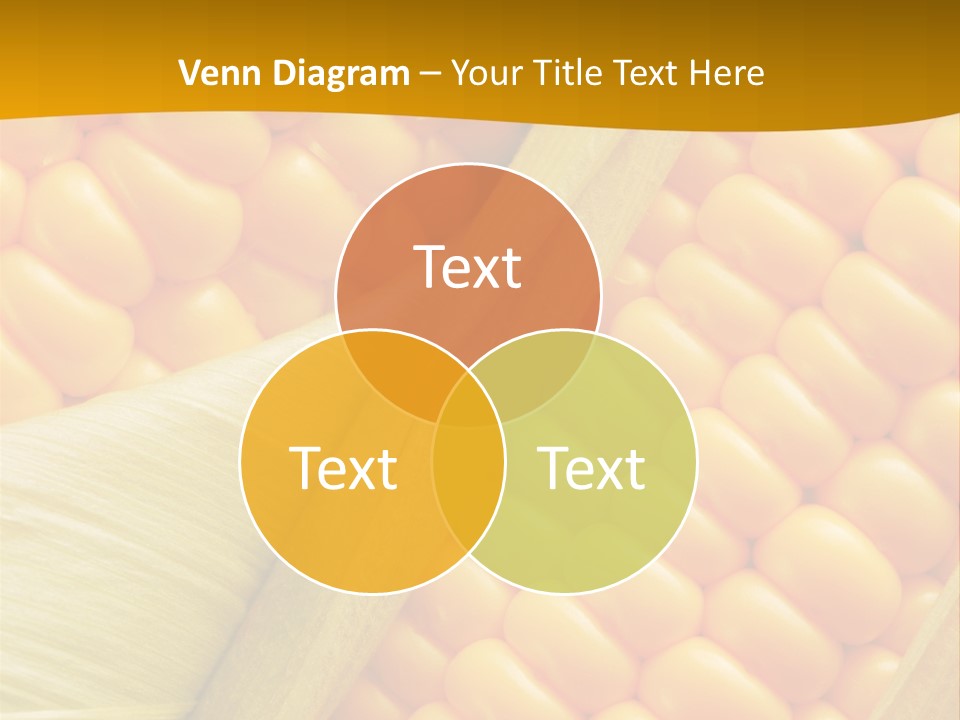 Sweet Corn Plant Crop PowerPoint Template