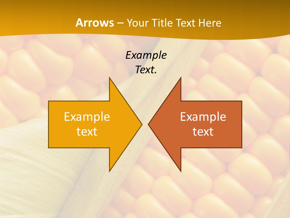 Sweet Corn Plant Crop PowerPoint Template