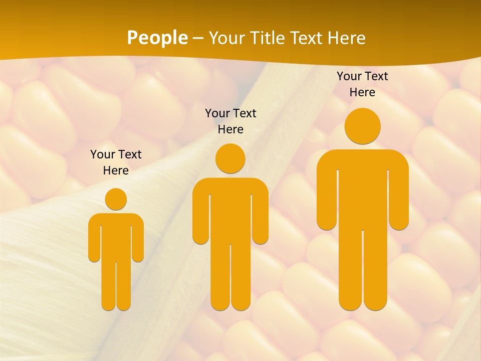 Sweet Corn Plant Crop PowerPoint Template