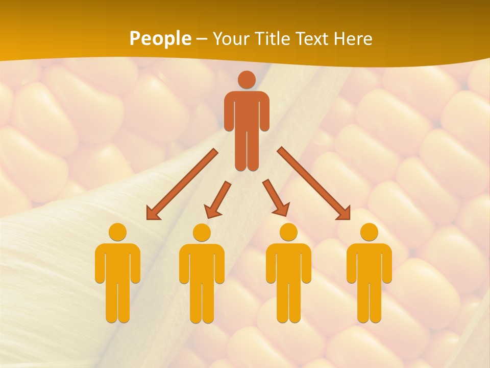 Sweet Corn Plant Crop PowerPoint Template