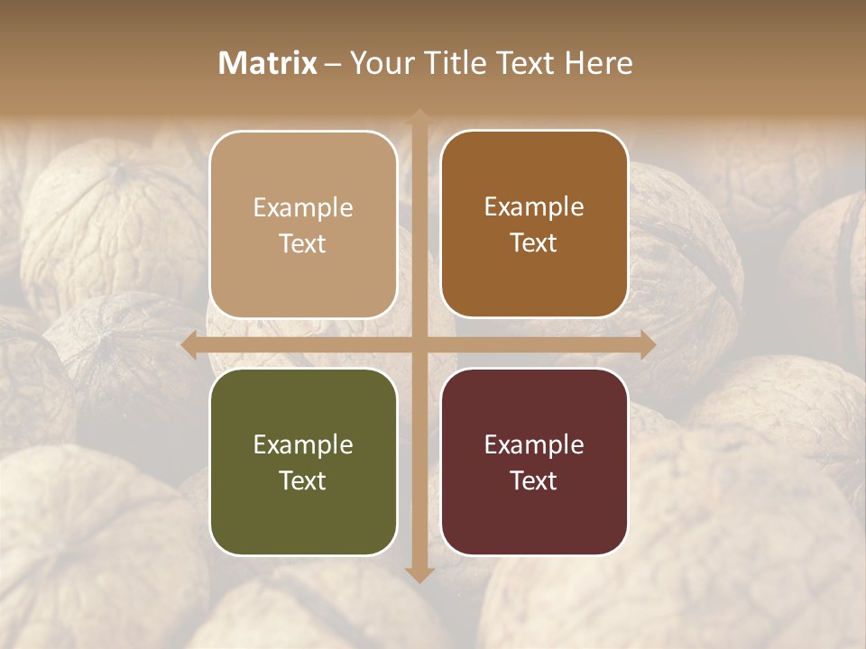 Fruit Filbert Bug PowerPoint Template