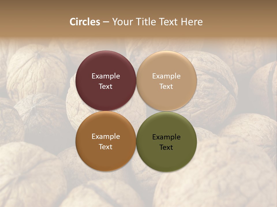 Fruit Filbert Bug PowerPoint Template