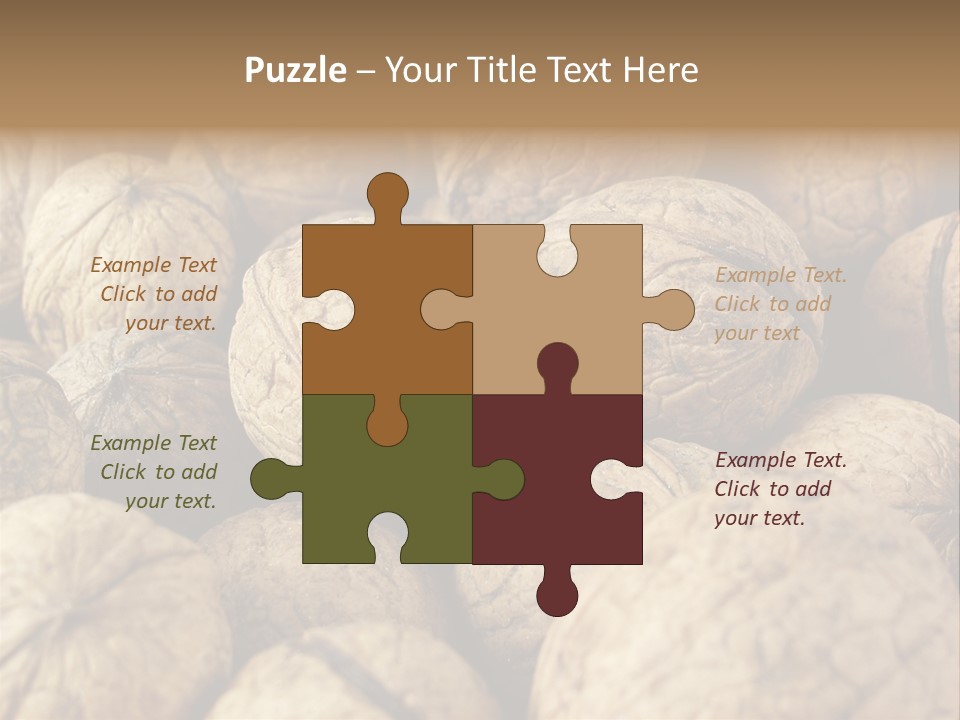 Fruit Filbert Bug PowerPoint Template