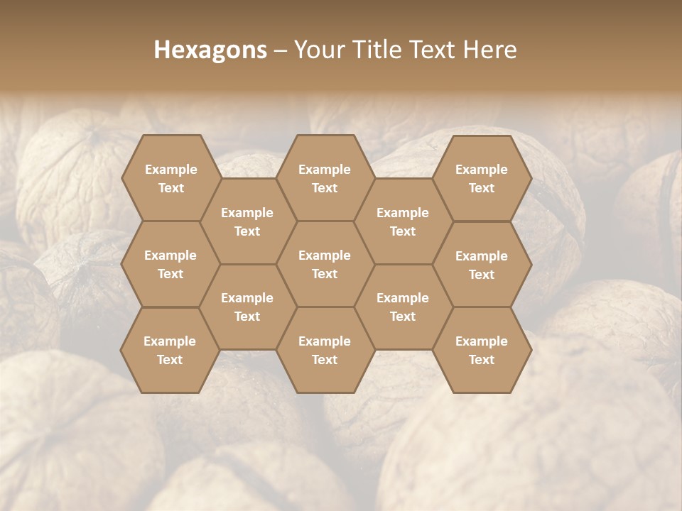 Fruit Filbert Bug PowerPoint Template