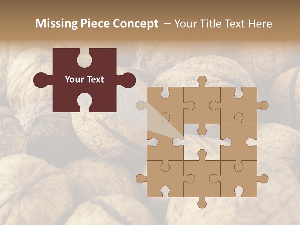 Fruit Filbert Bug PowerPoint Template