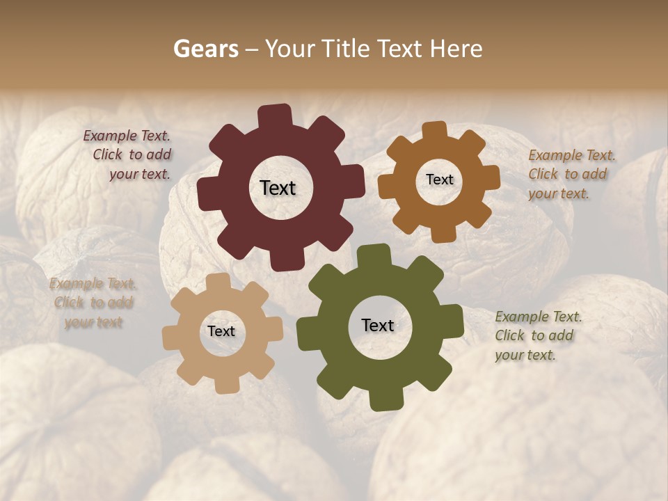 Fruit Filbert Bug PowerPoint Template