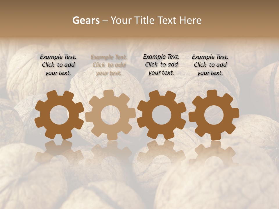 Fruit Filbert Bug PowerPoint Template