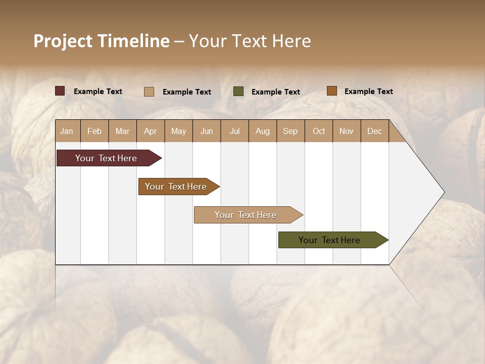 Fruit Filbert Bug PowerPoint Template