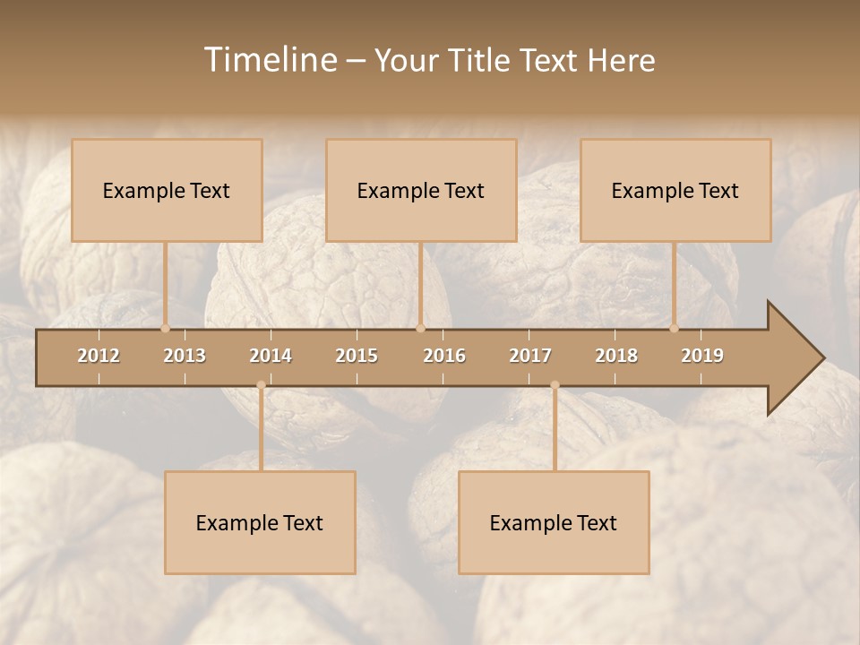 Fruit Filbert Bug PowerPoint Template