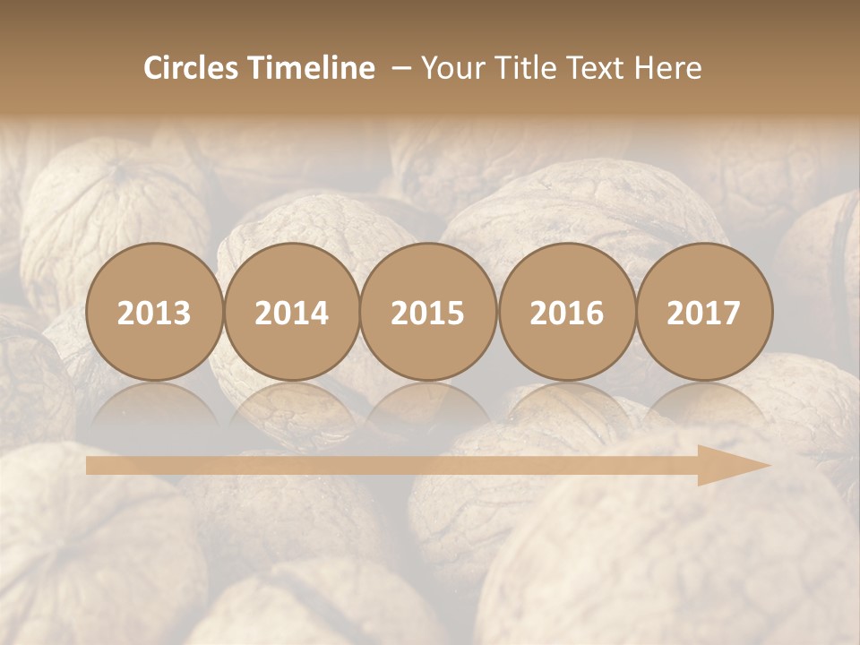 Fruit Filbert Bug PowerPoint Template