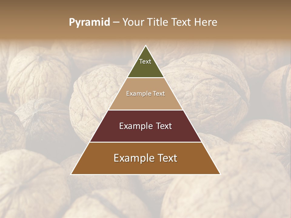 Fruit Filbert Bug PowerPoint Template