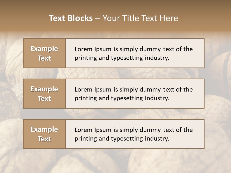 Fruit Filbert Bug PowerPoint Template