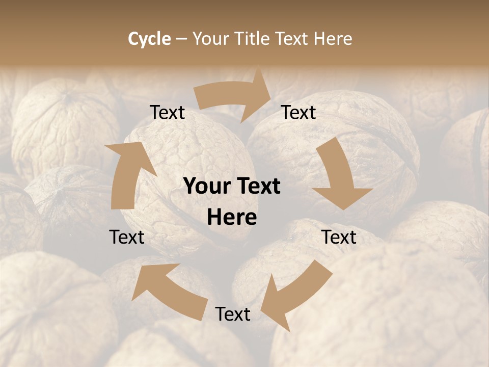 Fruit Filbert Bug PowerPoint Template