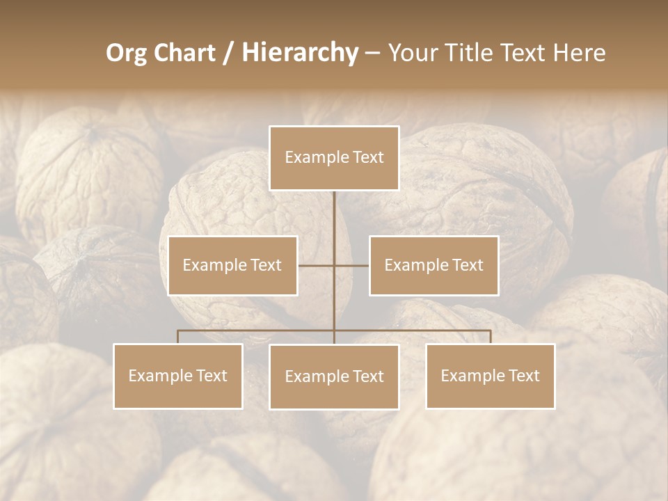 Fruit Filbert Bug PowerPoint Template