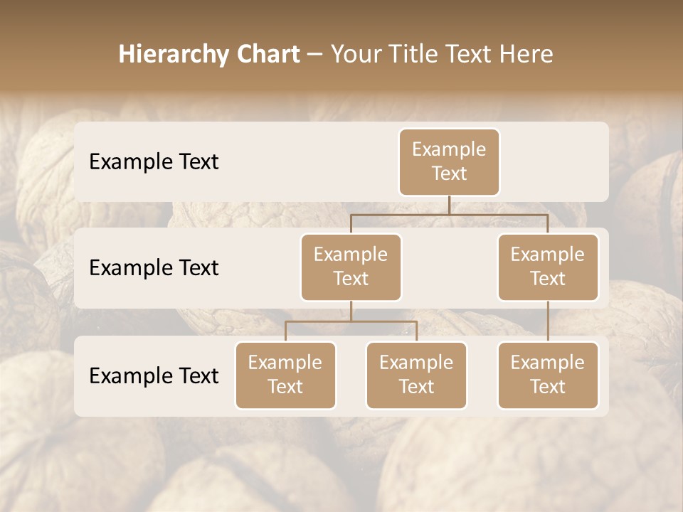 Fruit Filbert Bug PowerPoint Template