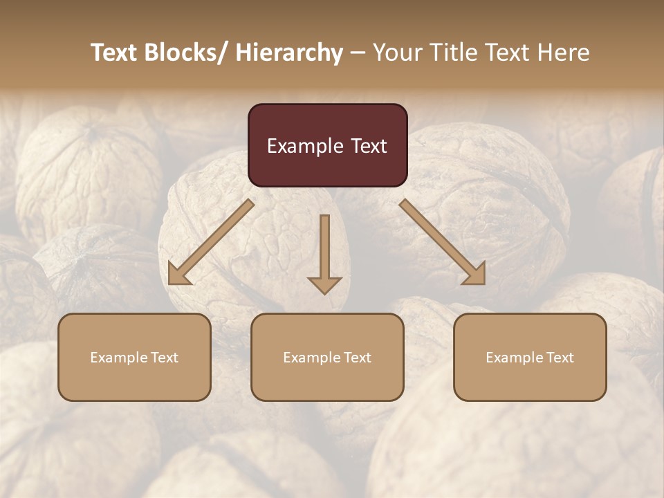 Fruit Filbert Bug PowerPoint Template