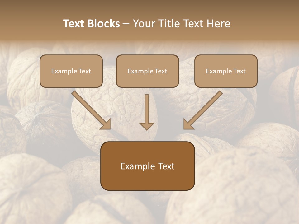 Fruit Filbert Bug PowerPoint Template