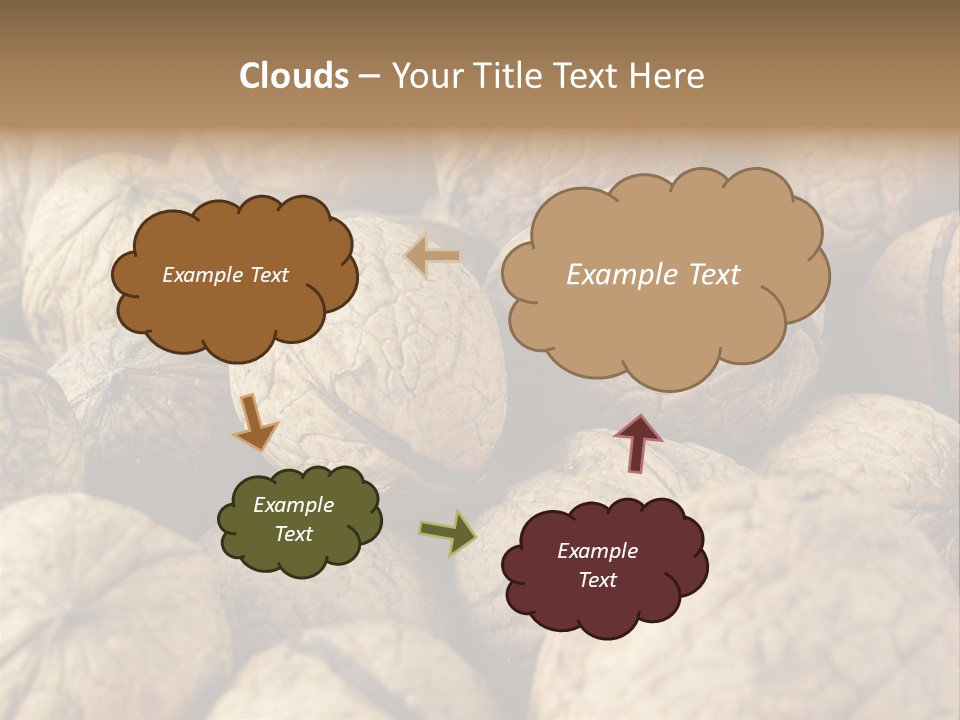 Fruit Filbert Bug PowerPoint Template