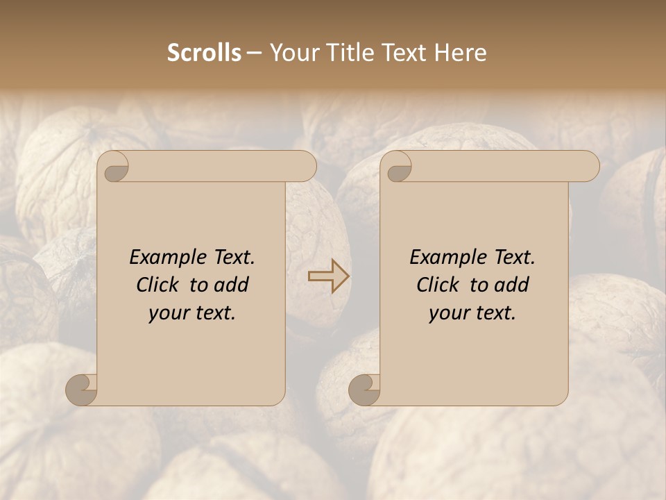 Fruit Filbert Bug PowerPoint Template