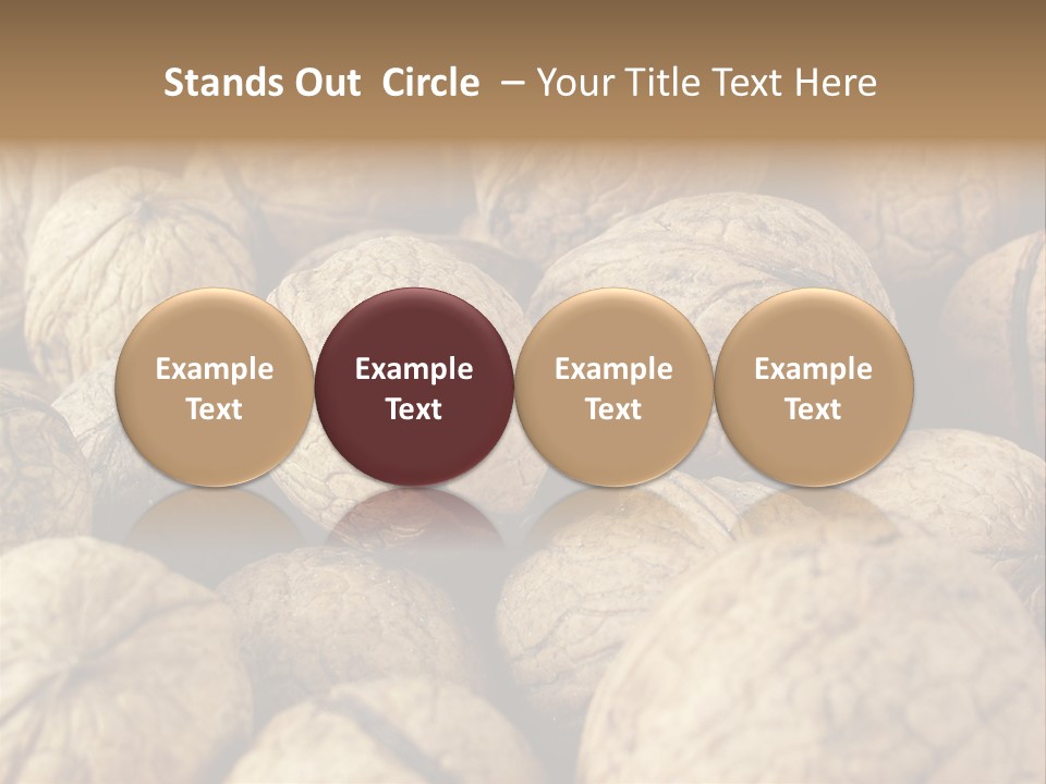 Fruit Filbert Bug PowerPoint Template