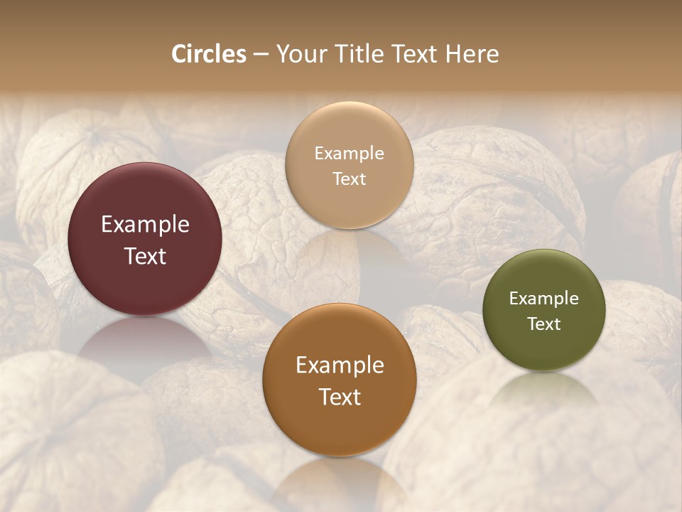 Fruit Filbert Bug PowerPoint Template