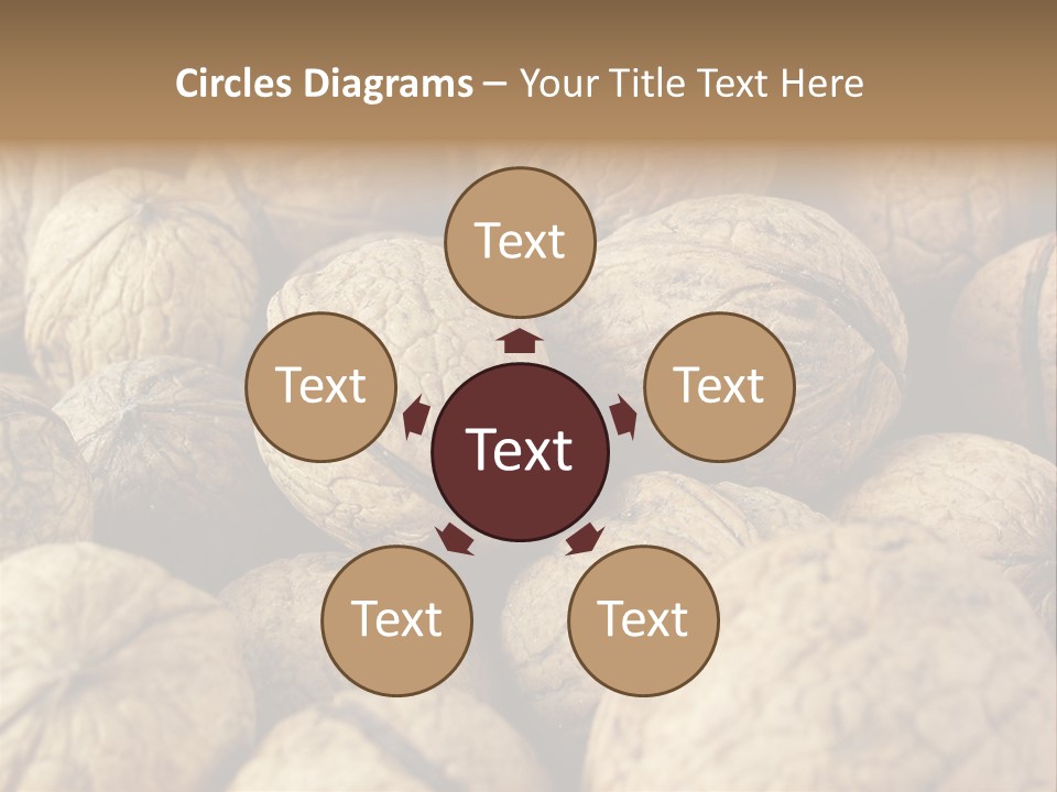 Fruit Filbert Bug PowerPoint Template