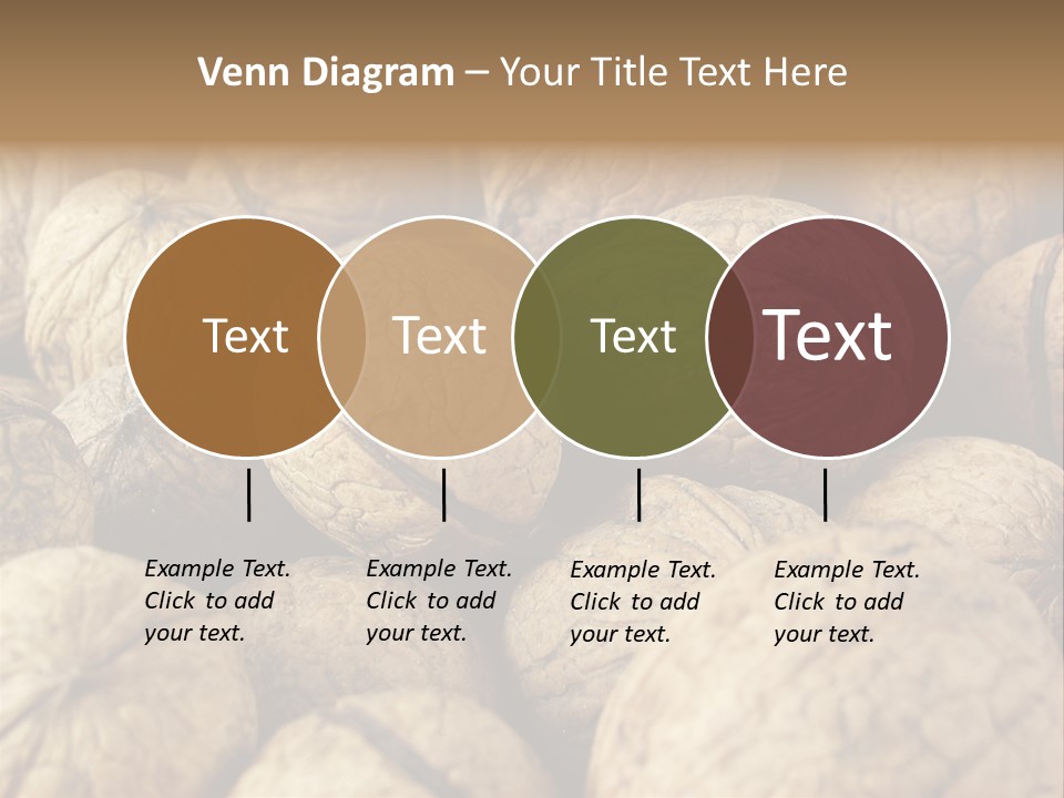 Fruit Filbert Bug PowerPoint Template