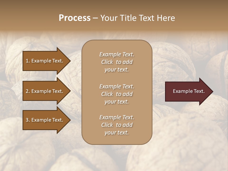 Fruit Filbert Bug PowerPoint Template