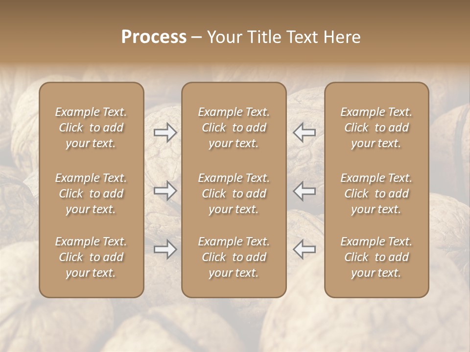 Fruit Filbert Bug PowerPoint Template
