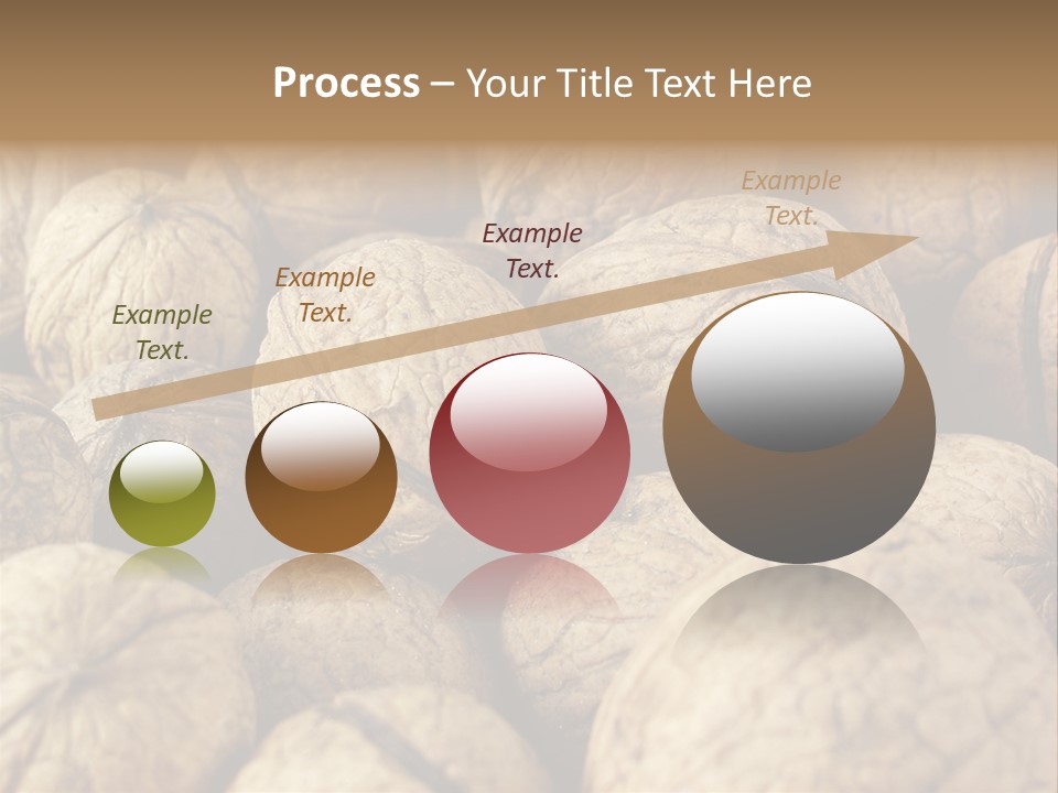 Fruit Filbert Bug PowerPoint Template