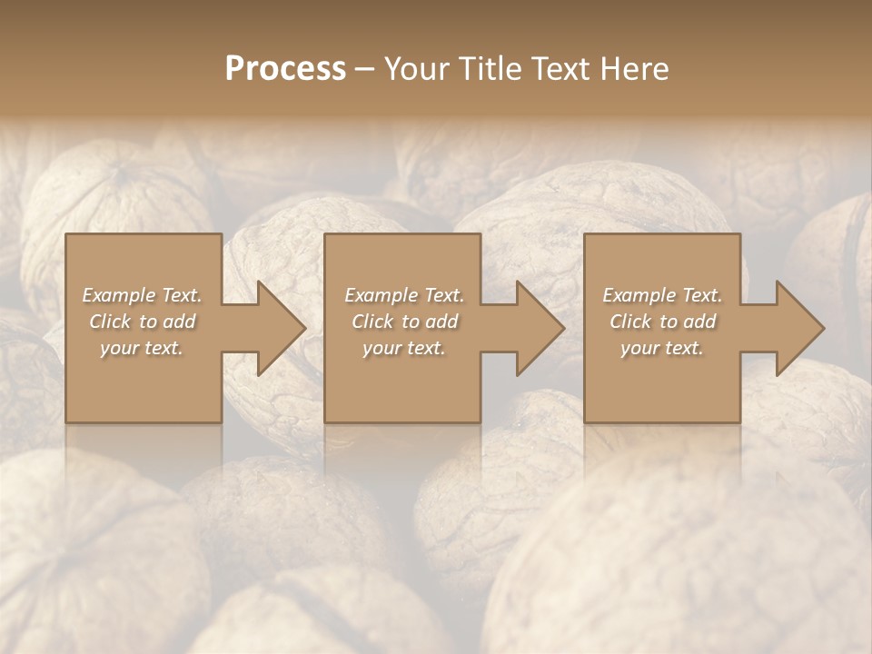 Fruit Filbert Bug PowerPoint Template