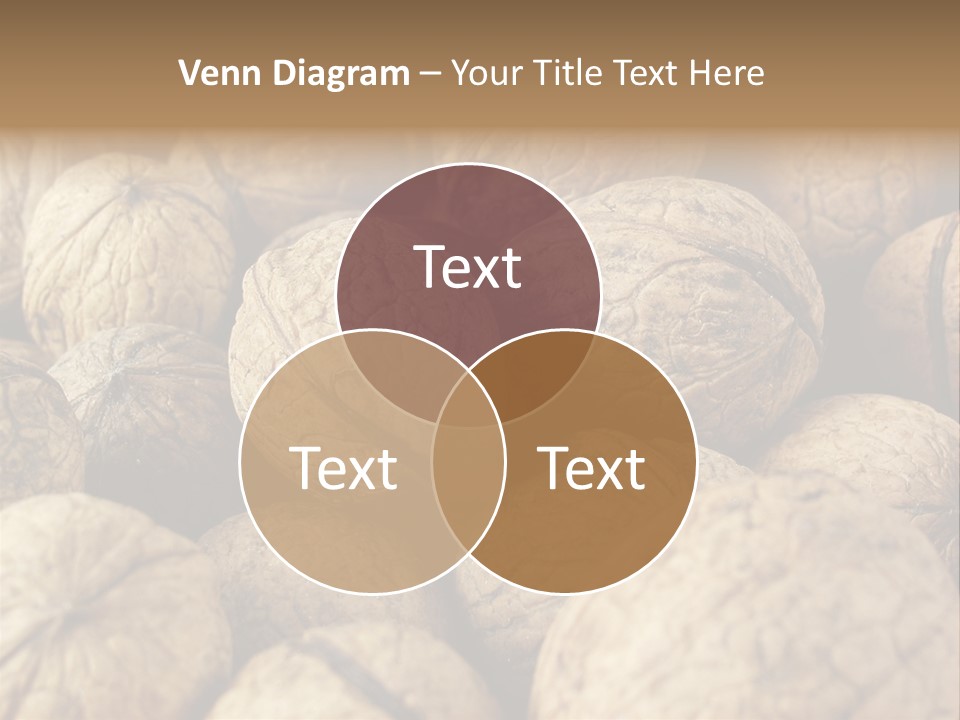 Fruit Filbert Bug PowerPoint Template