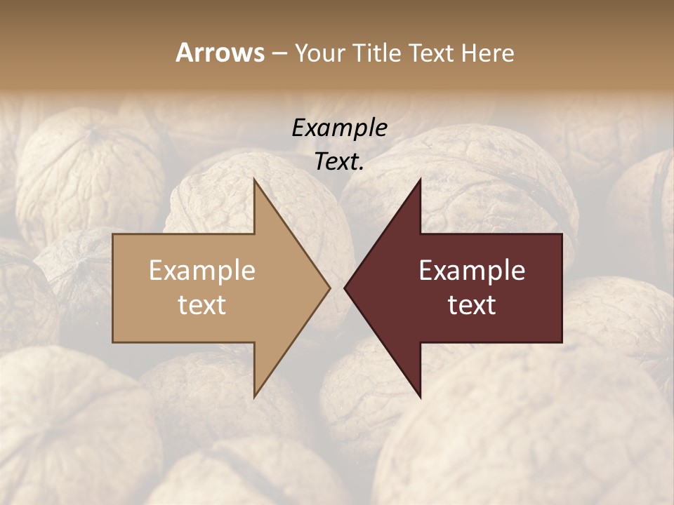 Fruit Filbert Bug PowerPoint Template