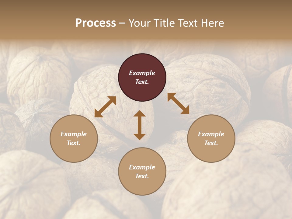 Fruit Filbert Bug PowerPoint Template