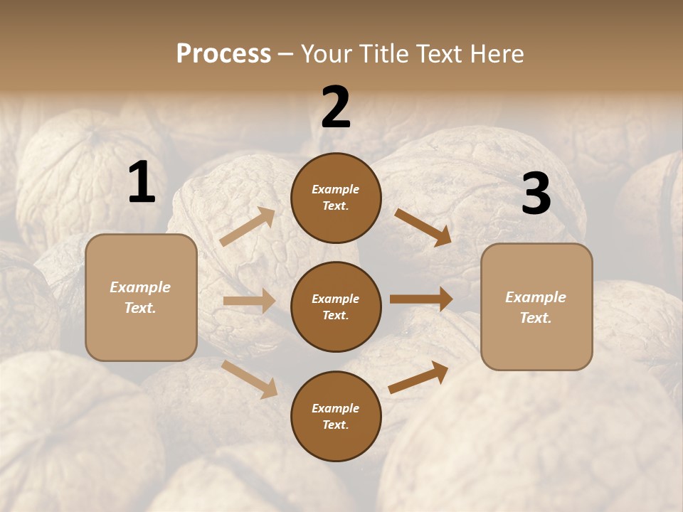Fruit Filbert Bug PowerPoint Template